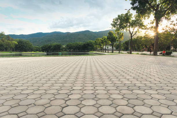 Best Commercial Driveway Pavers  in Plainview, TN