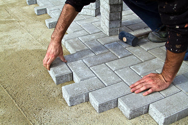 Best Driveway Paving Contractor  in Plainview, TN