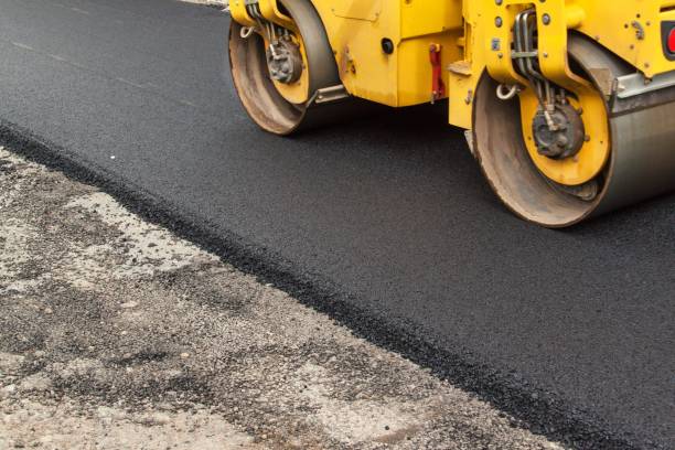 Best Residential Paver Driveway  in Plainview, TN