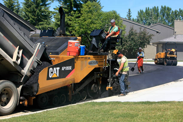 Best Paver Driveway Replacement  in Plainview, TN