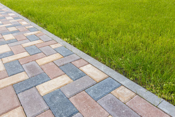 Best Driveway Pavers Near Me  in Plainview, TN
